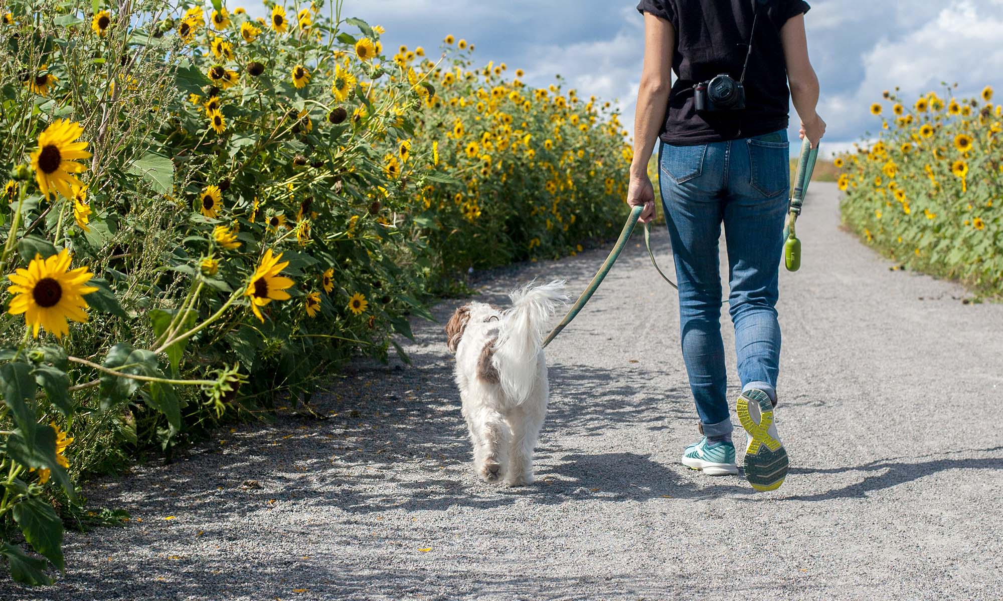Walking consistently on an ordinary day.